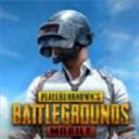 绝地求生PUBG国际服