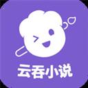 云吞小说软件