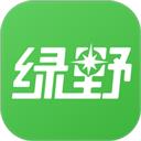 绿野