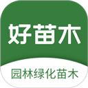 好苗木