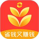 淘大麦