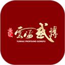 云海武博