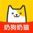 买只宠物
