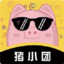 猪小团