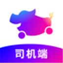 花小猪司机版app